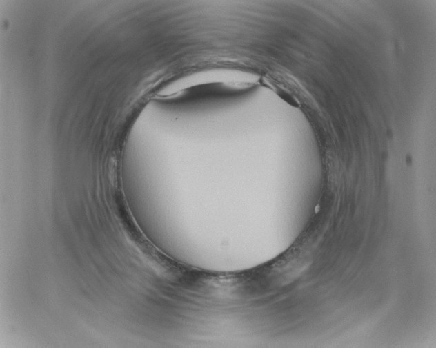 X0000061750071200512302248