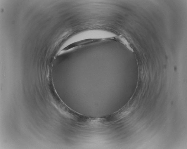 X0000061750072200512302248