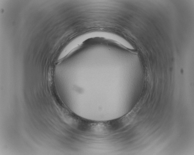 X0000061750074200512302248