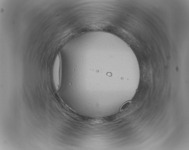 X0000061750075200512302248