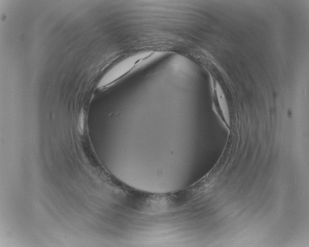 X0000061750076200512302248