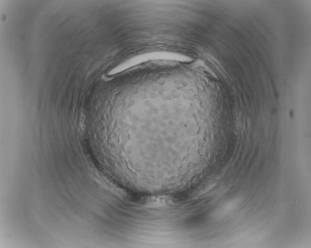 X0000061750077200512302248