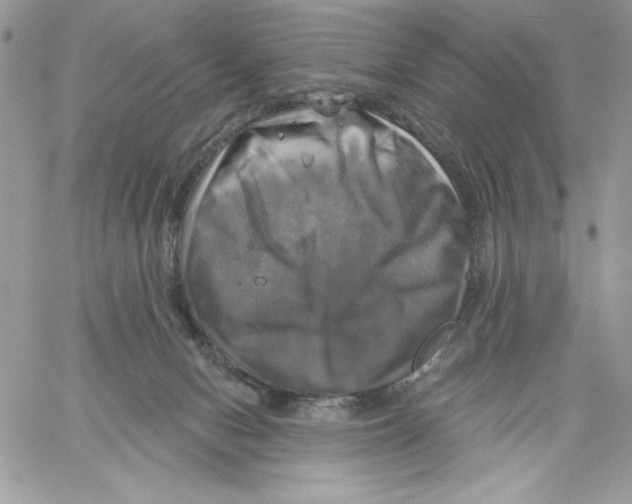 X0000061750078200512302248