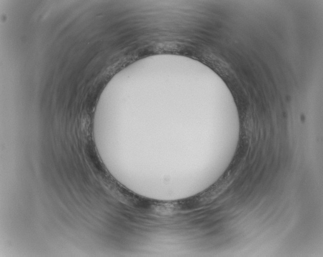 X0000061750079200512302248