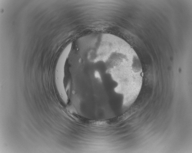 X0000061750081200512302249