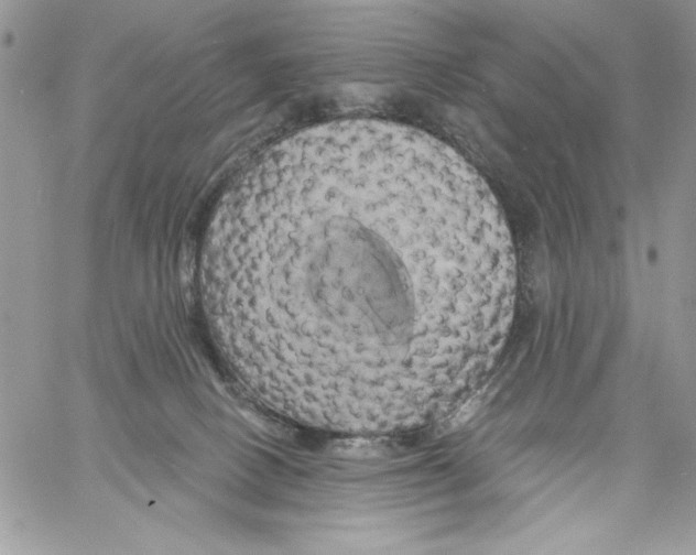 X0000061750082200512302249