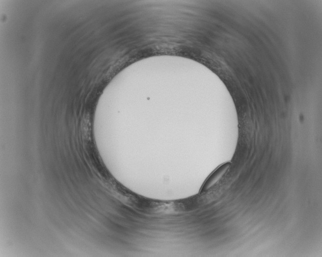 X0000061750083200512302249