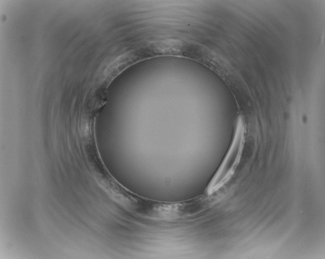 X0000061750084200512302249