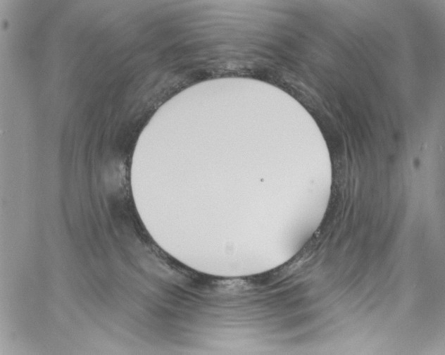 X0000061750087200512302249