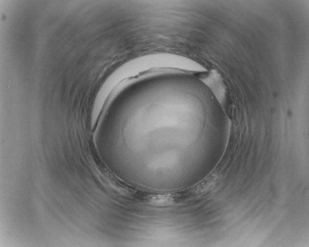 X0000061750088200512302249