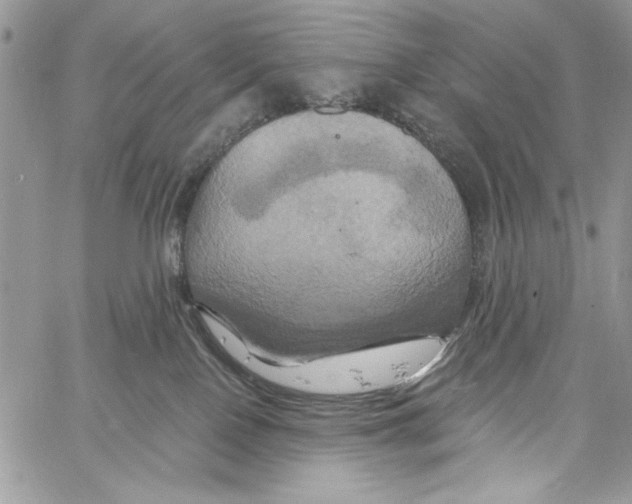 X0000061750090200512302249