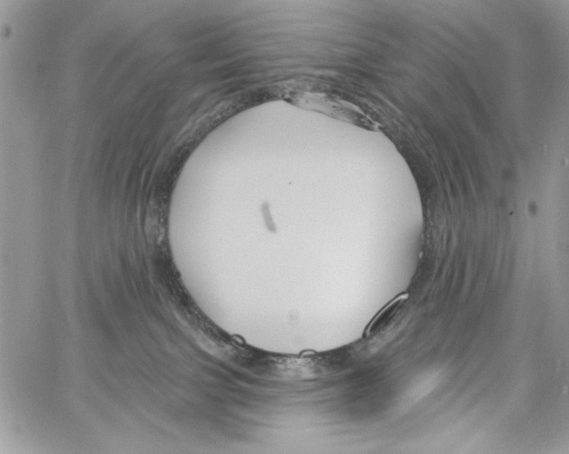 X0000061750091200512302249