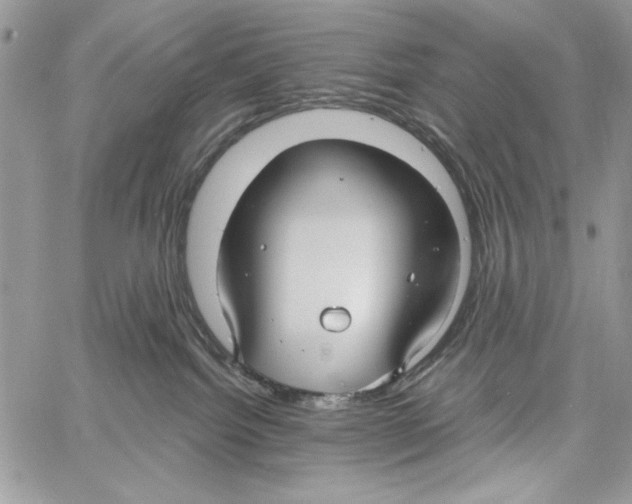 X0000061750092200512302249