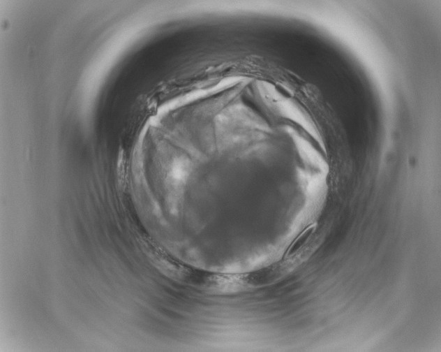 X0000061750093200512302249