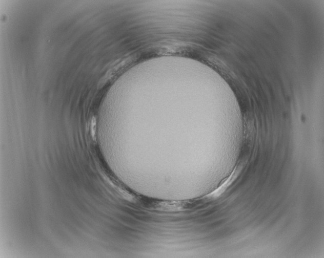 X0000061750094200512302249