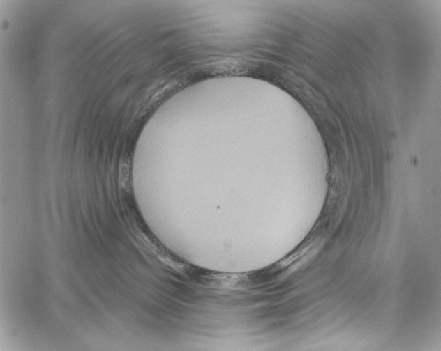 X0000061750096200512302249