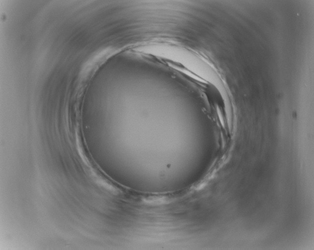 X0000061750097200512302248