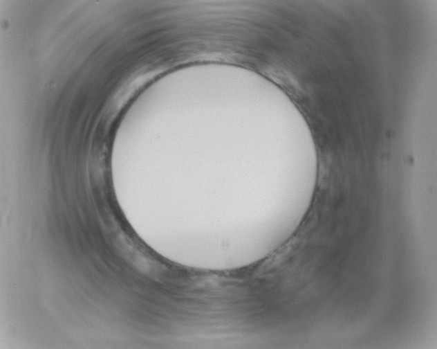 X0000061750098200512302248