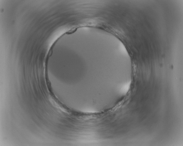 X0000061750100200512302248