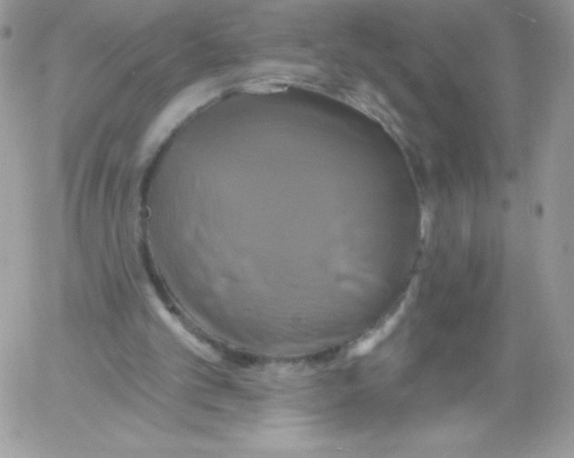 X0000061750101200512302248