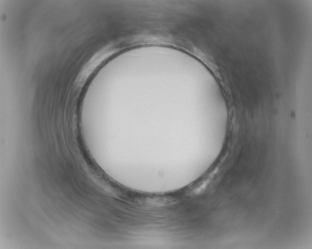 X0000061750103200512302248