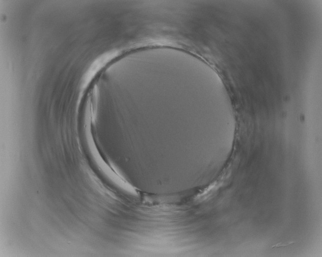 X0000061750104200512302248