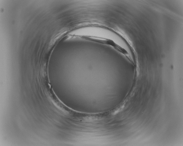 X0000061750105200512302248