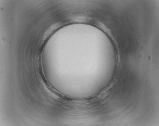 X0000061750106200512302248