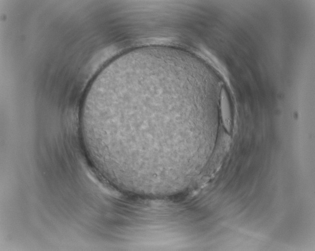 X0000061750107200512302248