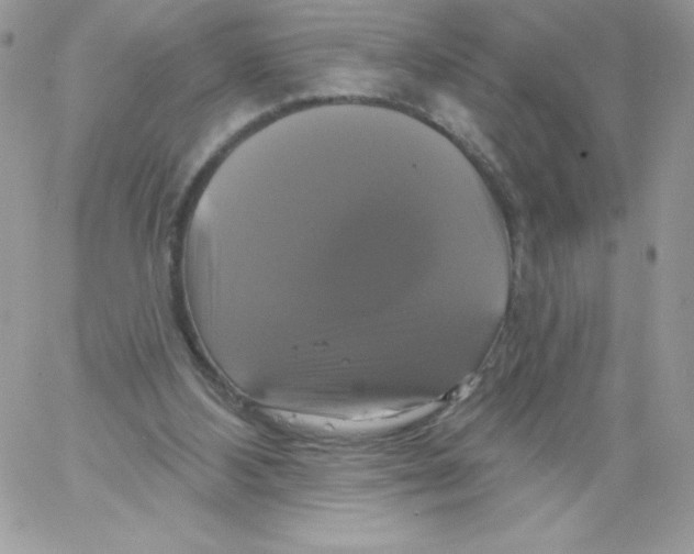 X0000061750108200512302248