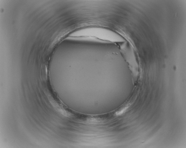 X0000061750109200512302248