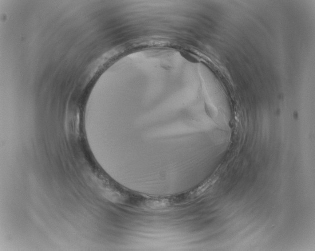 X0000061750110200512302248