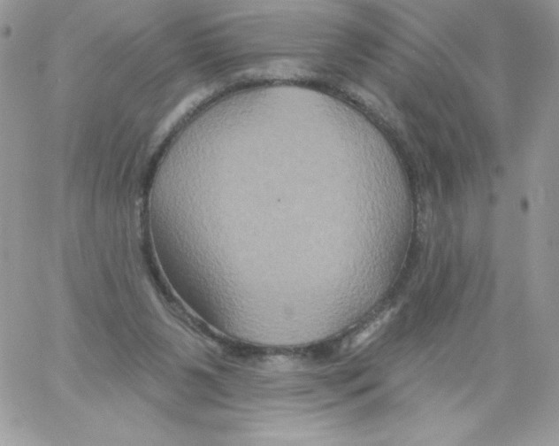 X0000061750111200512302248