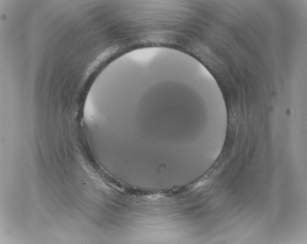 X0000061750112200512302248