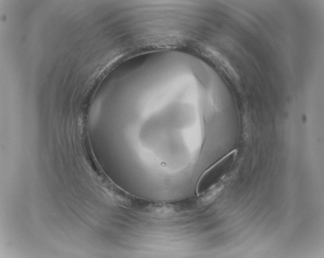 X0000061750113200512302248