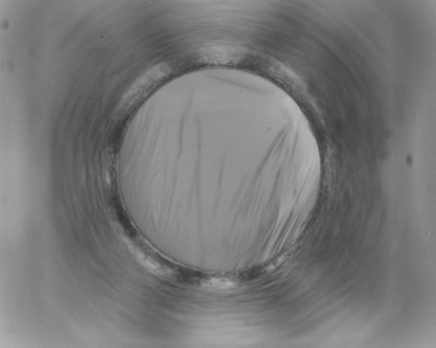 X0000061750114200512302248