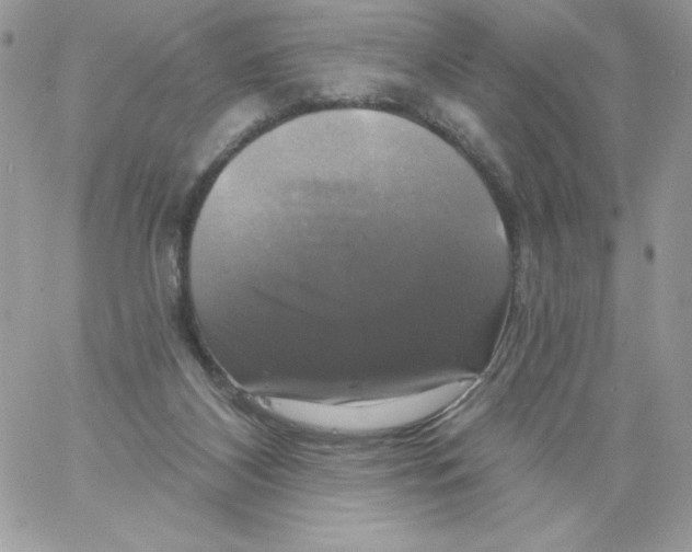 X0000061750116200512302248