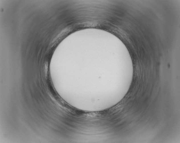 X0000061750118200512302248