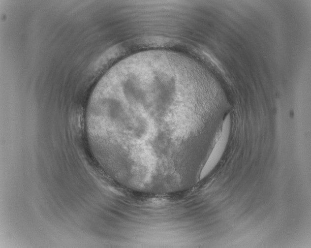 X0000061750119200512302248