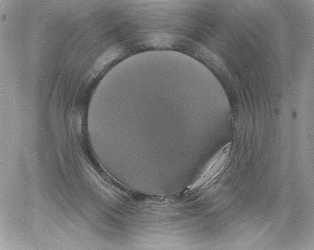 X0000061750120200512302248