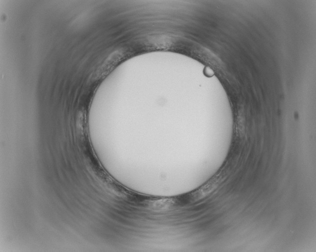 X0000061750122200512302248