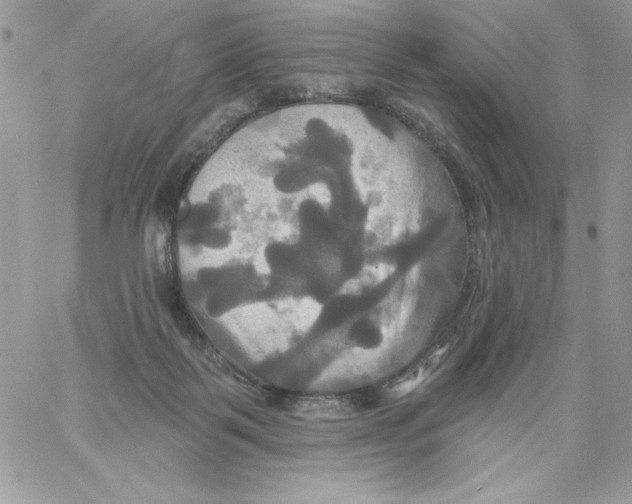 X0000061750123200512302248