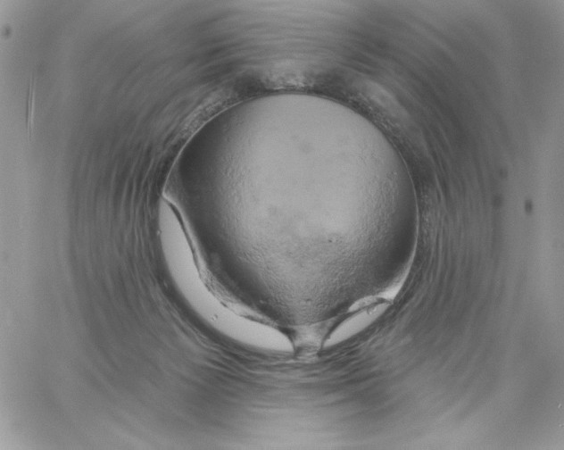 X0000061750125200512302247