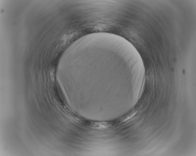 X0000061750127200512302247