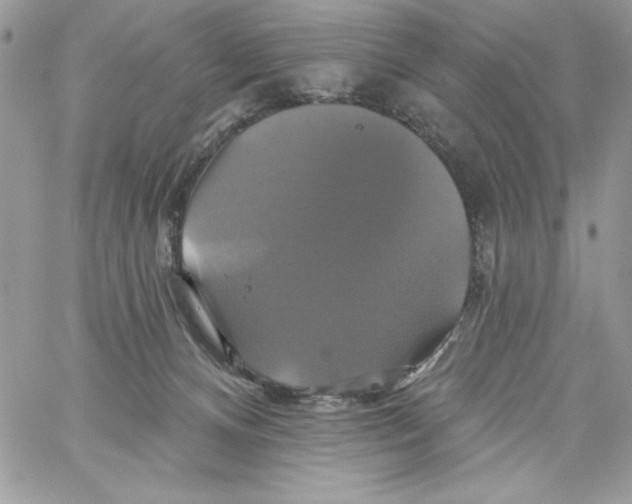 X0000061750128200512302247