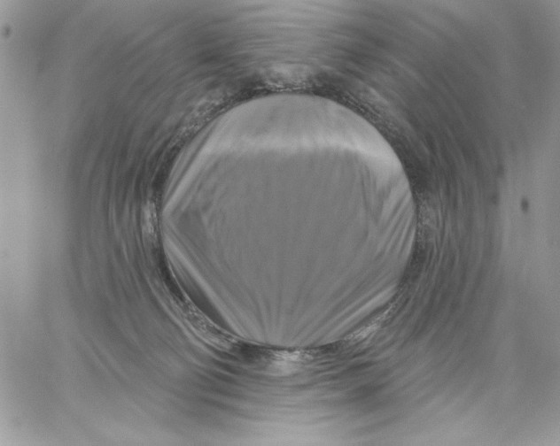 X0000061750130200512302247