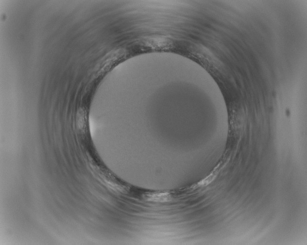 X0000061750132200512302247