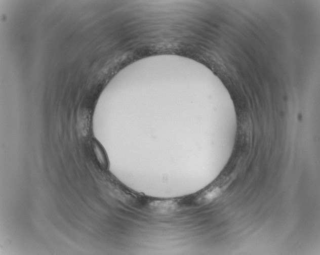 X0000061750133200512302247