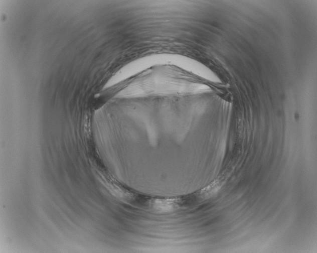 X0000061750134200512302247