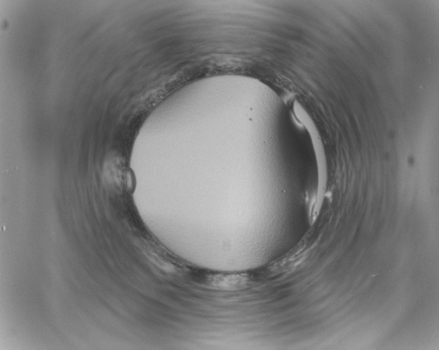 X0000061750135200512302247